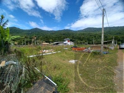 Terreno para Venda, em Florianpolis, bairro Costa de Dentro