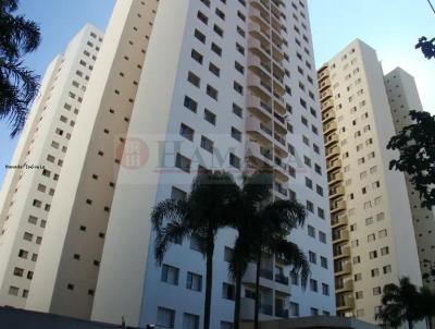 Apartamento para Venda, em So Paulo, bairro Jardim Itapeva, 2 dormitrios, 1 banheiro, 1 vaga