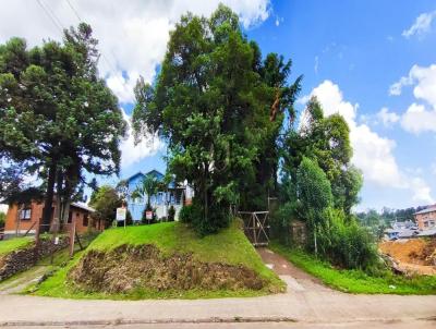 rea para Venda, em Canela, bairro Canelinha