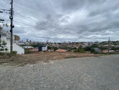 Terreno para Venda, em Campina Grande, bairro Conceio