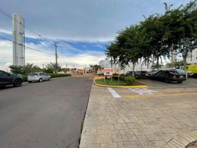 imagem-miniatura