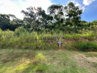 Terreno para Venda, em Louveira, bairro Capivari