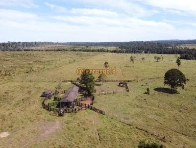 Fazenda para Venda, em Juna, bairro Zona rural