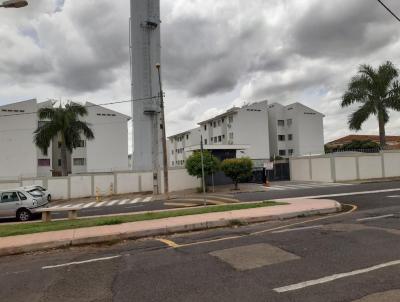 imagem-miniatura