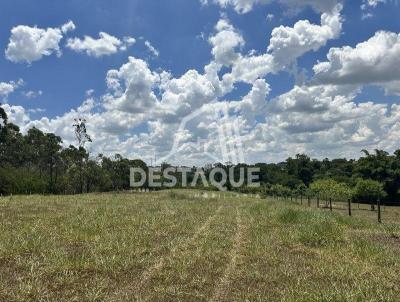 Chcara para Venda, em Santo Anastcio, bairro Figueira