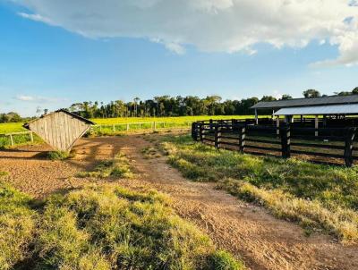 Stio para Venda, em Tapurah, bairro Rural