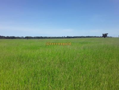 Fazenda para Venda, em Brasnorte, bairro Zona rural