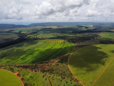 Fazenda para Venda, em So Joo d`Aliana, bairro Zona rural