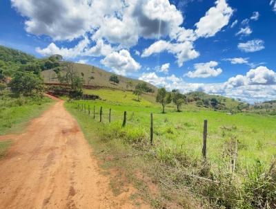 Fazenda para Venda, em Itanhomi, bairro Jatai