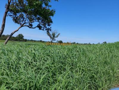 Fazenda para Venda, em Rosrio Oeste, bairro Zona rural