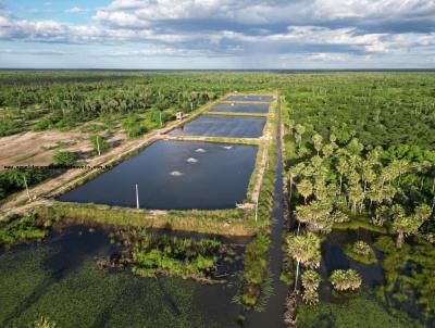 Fazenda para Venda, em Pendncias, bairro RN 404 cidade do Rio Grande do Norte.