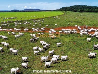 Fazenda para Venda, em Porto Estrela, bairro Zona rural