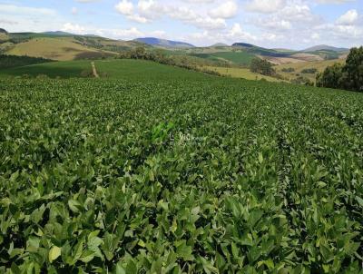 Fazenda para Venda, em Andrelndia, bairro Andrelncia do Sul