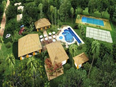 imagem-miniatura