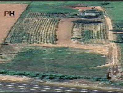 Terreno para Venda, em Getulina, bairro 2 Km da cidade