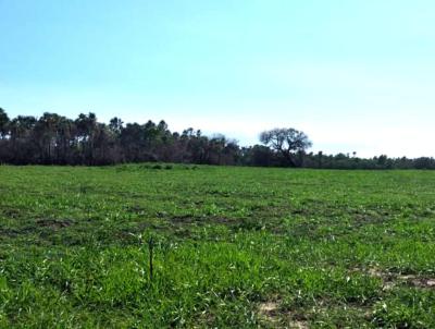 Fazenda para Venda, em Porto Murtinho, bairro 
