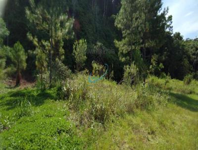 Terreno para Venda, em Caraguatatuba, bairro Capricrnio III