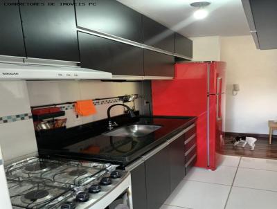 imagem-miniatura