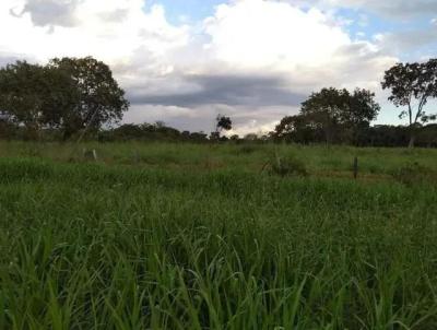 Fazenda para Venda, em Santa Terezinha, bairro 