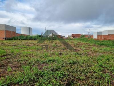 Terreno Comercial para Venda, em Nova Mutum, bairro 