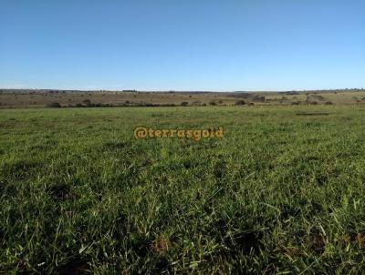 Fazenda para Venda, em Camapu, bairro Zona rural