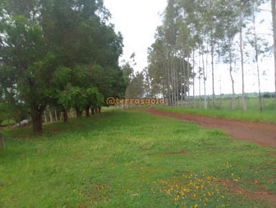 Stio para Venda, em Terenos, bairro Zona rural