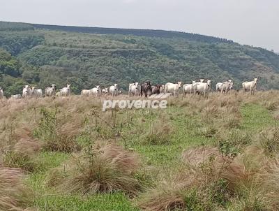 Fazenda para Venda, em Bofete, bairro Centro