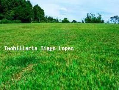 Terreno em Condomnio para Venda, em Ribeiro Preto, bairro Loteamento Terras de Florena