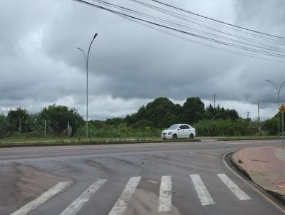 rea para Venda, em Piraquara, bairro Guarituba