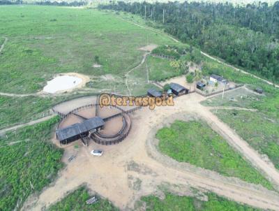 Fazenda para Venda, em Novo Progresso, bairro Zona rural