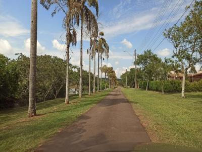 Terreno para Venda, em Itirapina, bairro Vila Pinhal