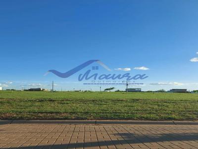 imagem-miniatura