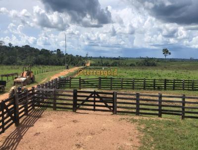 Fazenda para Venda, em Novo Progresso, bairro Zona rural