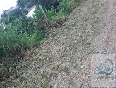 Terreno para Venda, em Imaru, bairro Centro