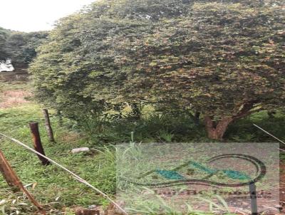 Terreno para Venda, em Imaru, bairro Centro