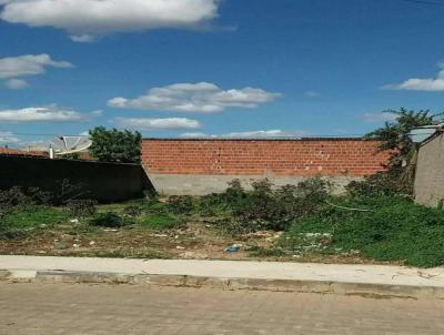 Terreno para Venda, em Casa Nova, bairro Vila So Jos