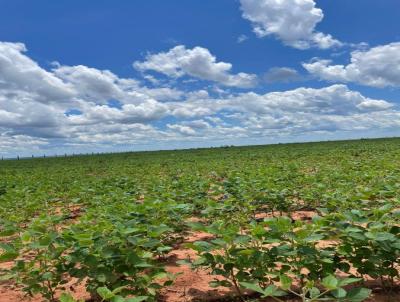 Arrendamento para Venda, em Novo So Joaquim, bairro Rural