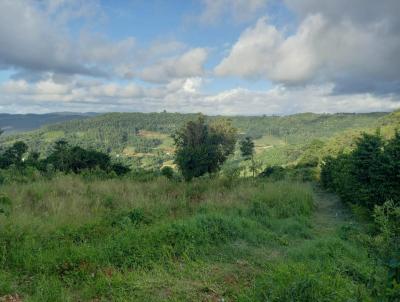 Stio / Chcara para Venda, em Morro Reuter, bairro So Jos do Herval