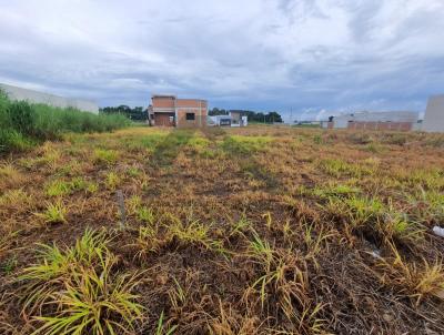 Terreno Urbano para Venda, em Nova Mutum, bairro 