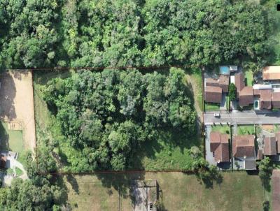 Terreno Urbano para Venda, em Pomerode, bairro Centro