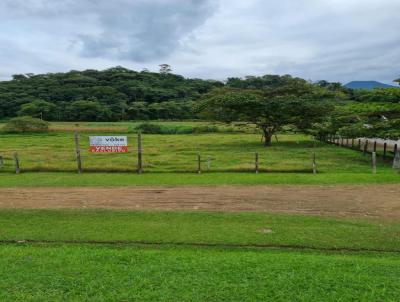 Terreno para Venda, em Pomerode, bairro Pomerode Fundos