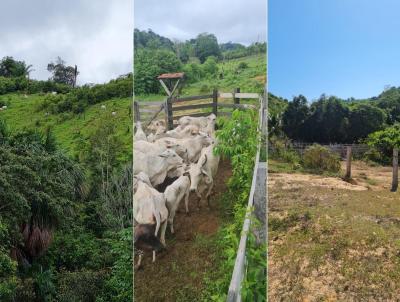 Fazenda para Venda, em Abaetetuba, bairro Rural