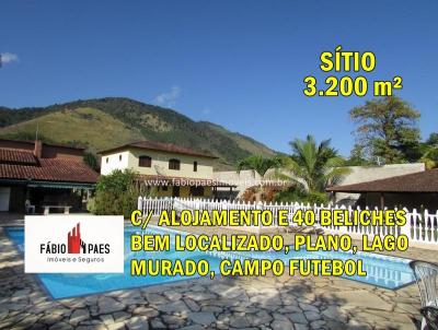 Stio para Venda, em Cachoeiras de Macacu, bairro Papucaia, 4 dormitrios, 9 banheiros, 1 sute
