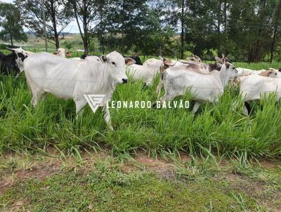 Fazenda para Venda, em Esmeraldas, bairro rea Rural de Esmeraldas