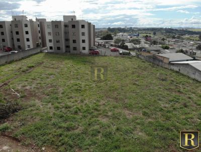 Terreno para Venda, em Guarapuava, bairro S�o Cristov�o