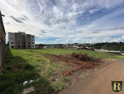 Terreno para Venda, em Guarapuava, bairro So Cristovo