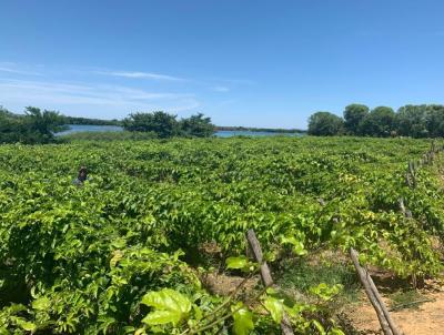 Fazenda para Venda, em Cura, bairro 