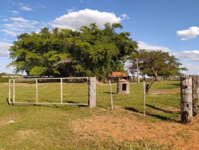 Stio para Venda, em Presidente Epitcio, bairro Agrovila 3