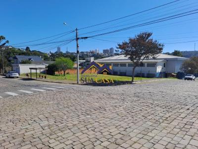 Terreno para Venda, em Bento Gonalves, bairro Santa Marta