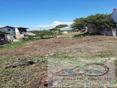 Terreno para Venda, em Imaru, bairro Centro